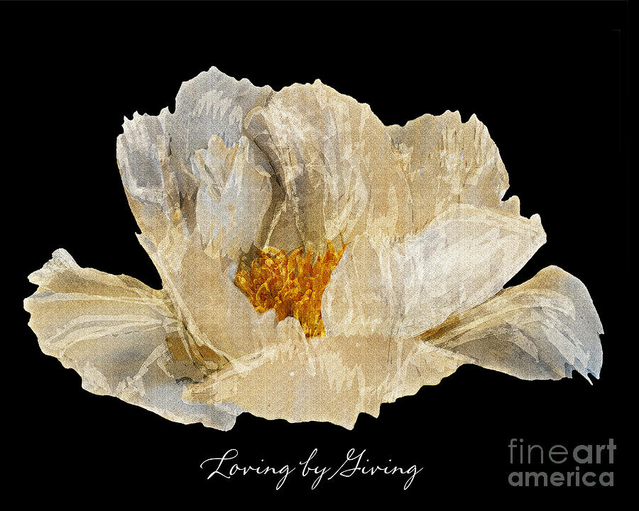 Paper Peony Loving by Giving Photograph by Diane E Berry