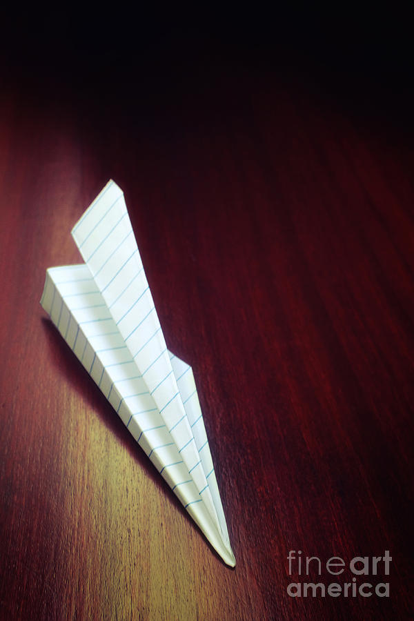 Vintage Photograph - Paper Plane Toy by Carlos Caetano