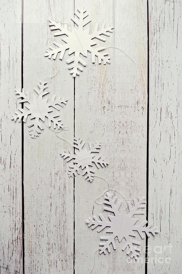 Paper Snowflakes Photograph