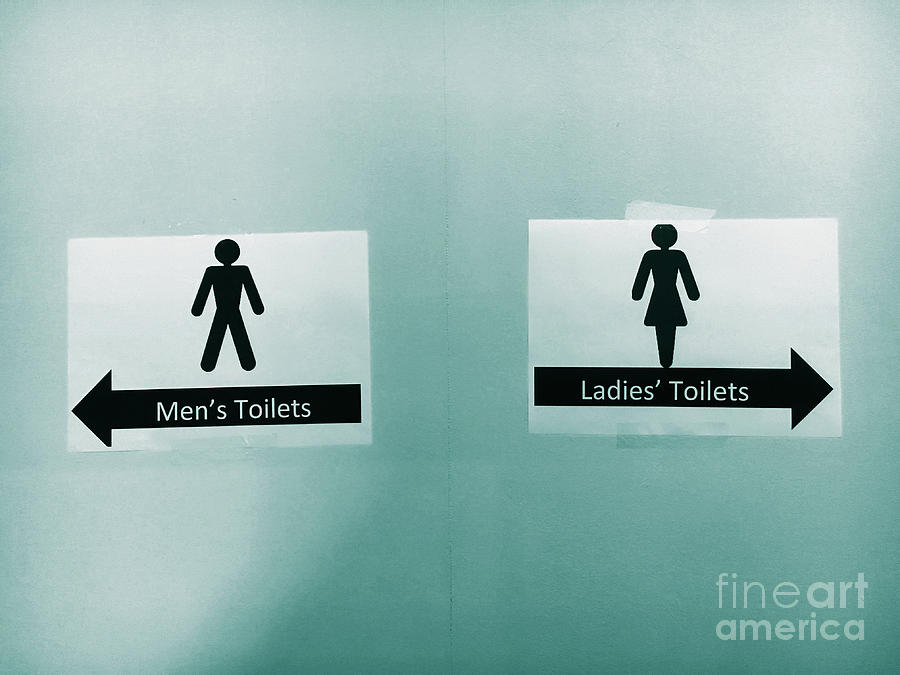 Paper Toilet signs Photograph by Tom Gowanlock