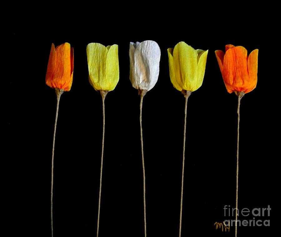 Paper Tulips Five Photograph by Marsha Heiken
