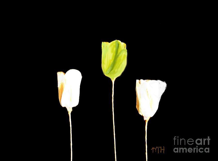 Flower Photograph - Paper Tulips Three Green by Marsha Heiken