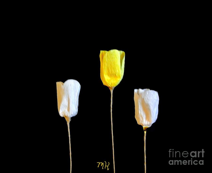 Paper Tulips Three Photograph by Marsha Heiken