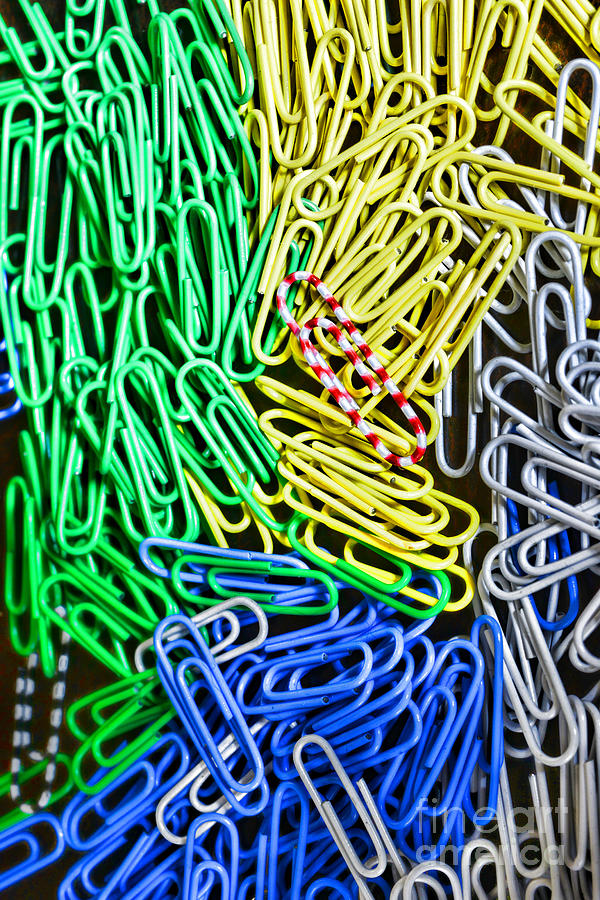 Paperclips Photograph by Paul Ward
