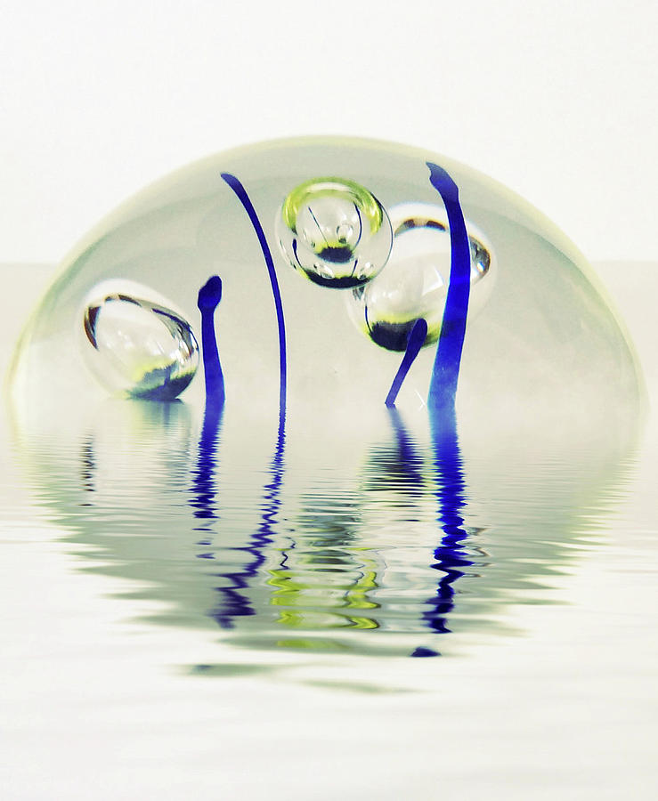 Paperweight No. 12-1 Photograph by Sandy Taylor