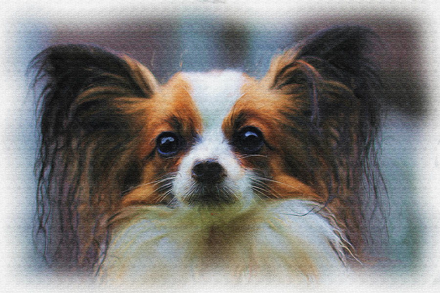 papillon price papillon painting photograph by ericamaxine price papillon price papillon painting photograph by ericamaxine price