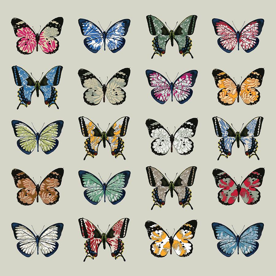 Papillon Digital Art by Sarah Hough