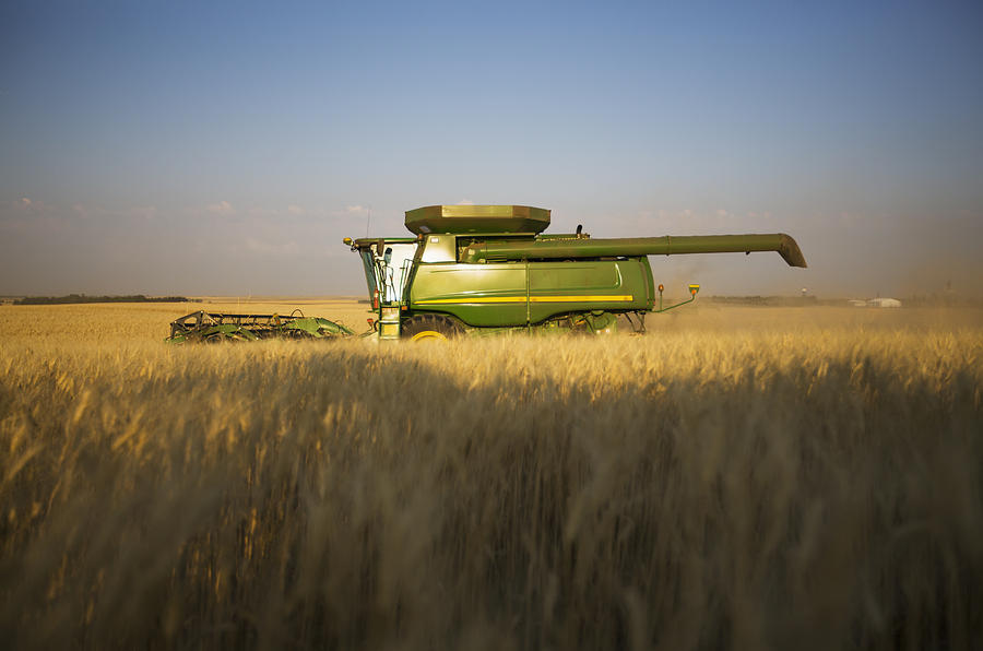 good harvest fort hamilton good harvest fort hamilton