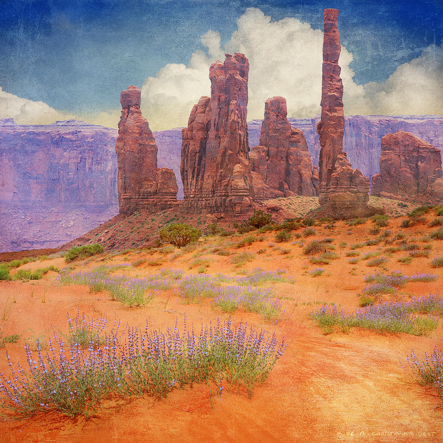 Flower Photograph - Paprika Sands At Monument Valley by R christopher Vest