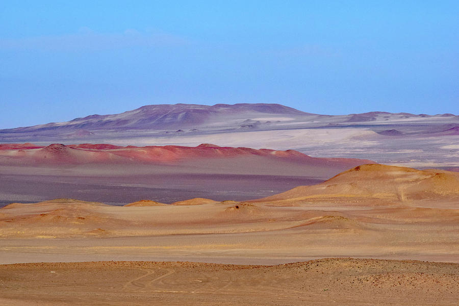 Paracas National Reserve No. 3-1 Photograph by Sandy Taylor