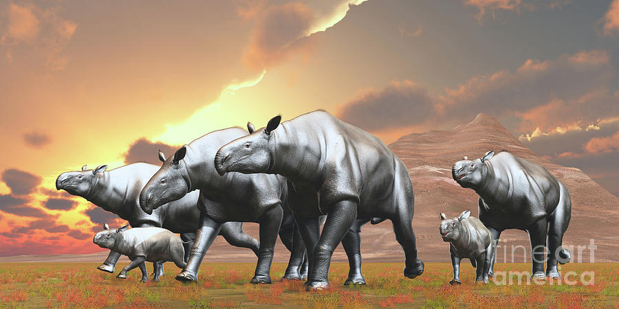 Paraceratherium Herd Digital Art by Corey Ford