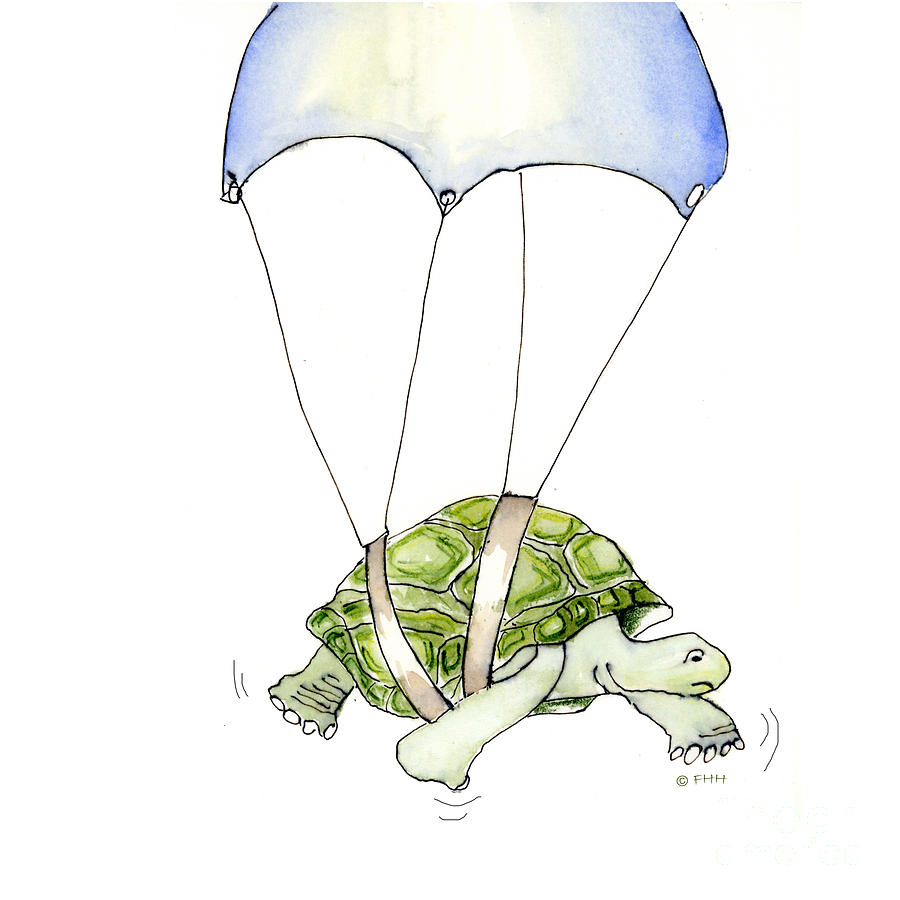 Parachute Turtle Drawing by Fran Henig