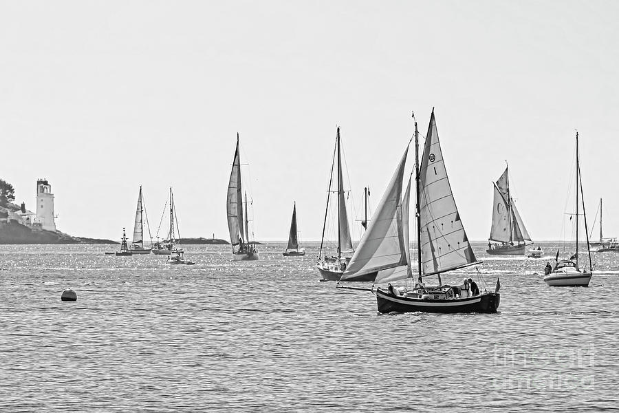 Parade of Sail in Monochrome Photograph by Terri Waters