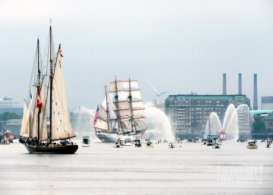 Parade of Sails  Photograph by Janice Drew