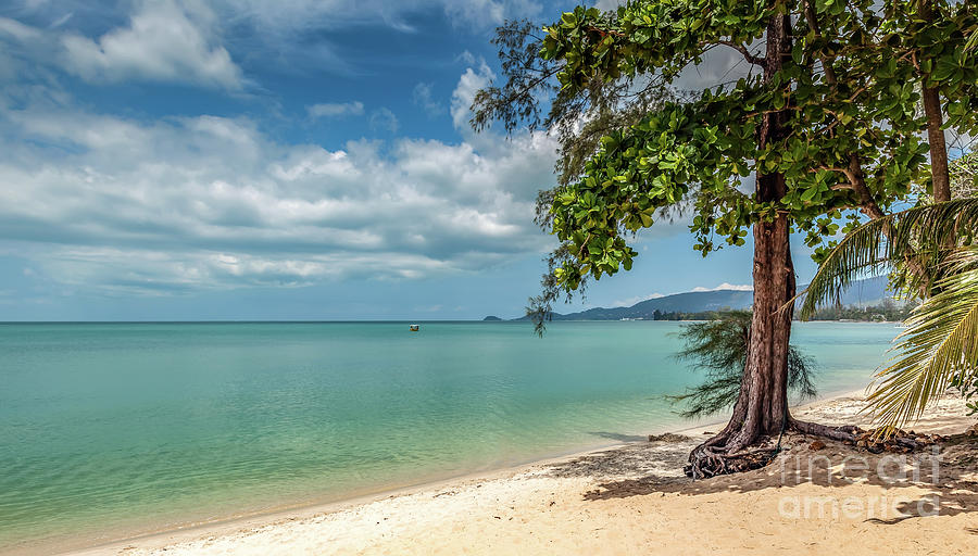 Lipa Noi Beach Koh Samui Photograph by Adrian Evans