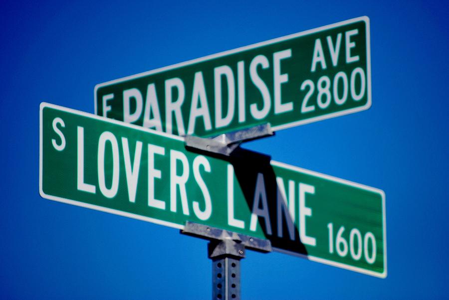 Paradise Photograph - Paradise and Lovers Lane by Matt Quest