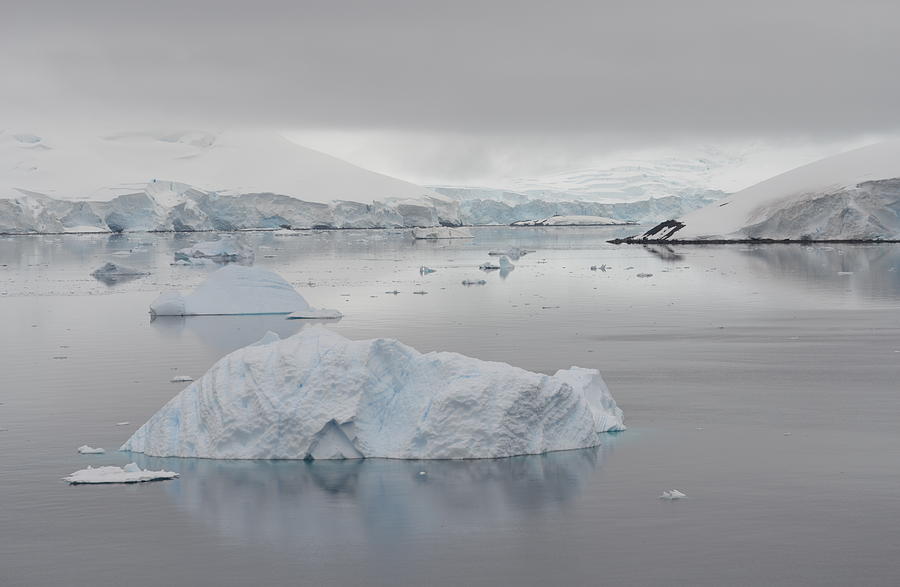 Paradise Bay, Antarctica Photograph by Ann and John Cinnamon - Fine Art ...