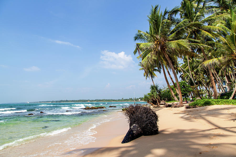 Paradise beach in Sri Lanka Photograph by Gina Koch