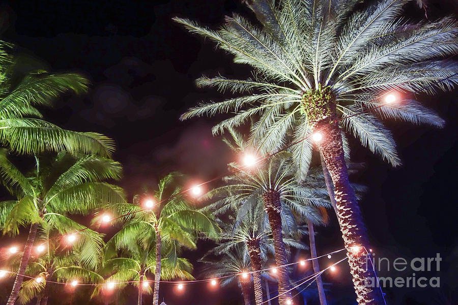 Paradise By Night by Wilko Van de Kamp Paradise By Night by Wilko Van de Kamp