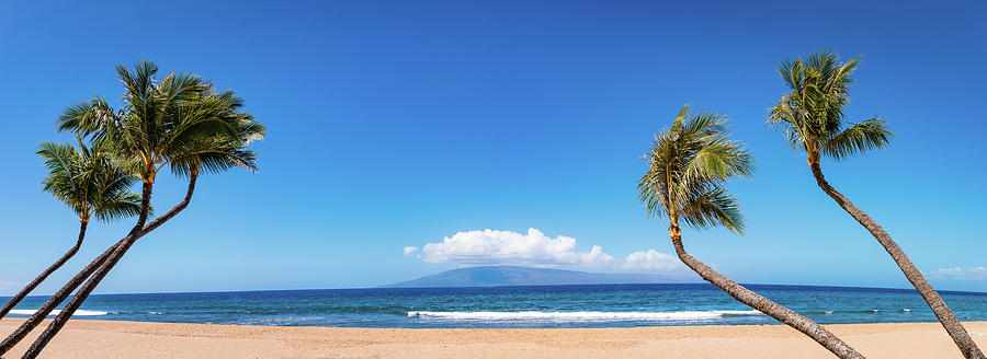 Paradise In Maui Photograph