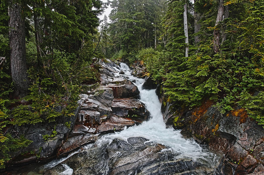 Paradise Creek Photograph by John Christopher