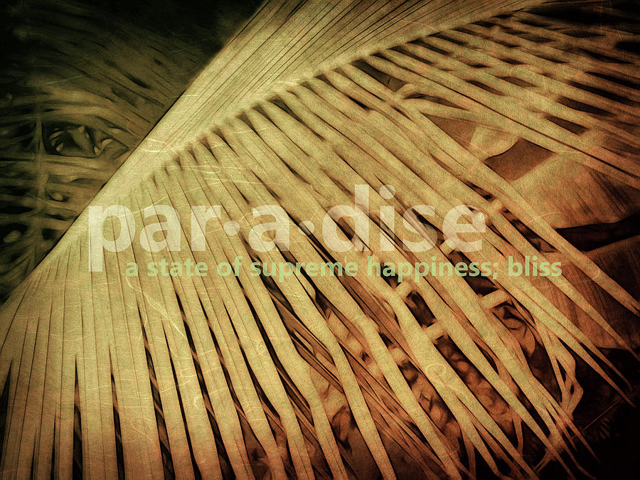 Typography Photograph - Paradise Defined by Ann Powell