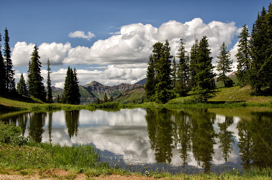 Paradise Divide Photograph by Elane Graves - Fine Art America