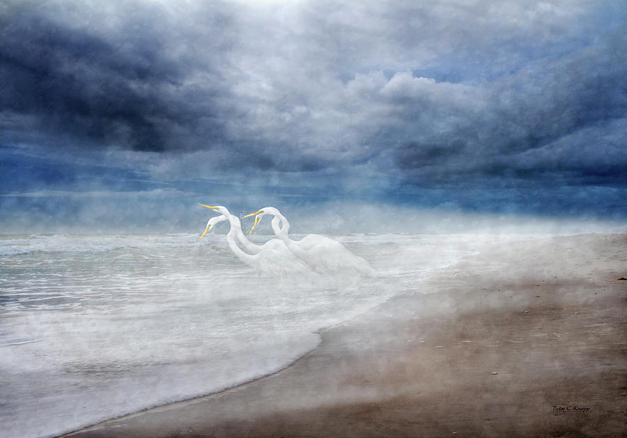 Knapp Digital Art - Paradise Dreamland by Betsy Knapp Knapp Digital Art - Paradise Dreamland by Betsy Knapp