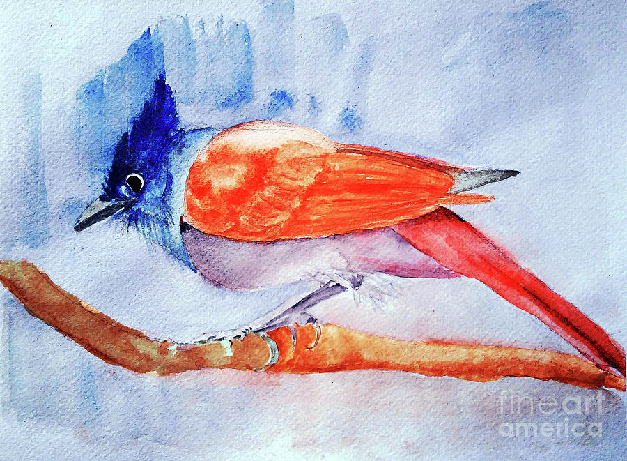 Paradise Flycatcher Painting by Jasna Dragun