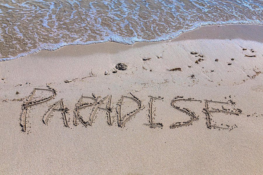 Paradise In The Sand Photograph