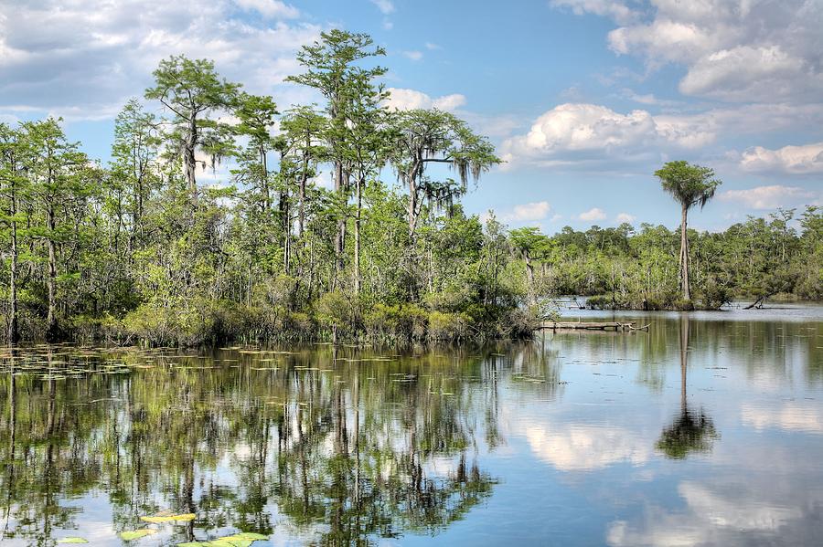 Paradise Photograph by JC Findley - Fine Art America