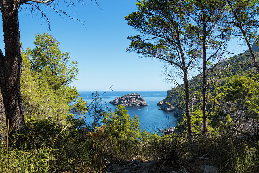 Summer Photograph - Paradise like view with pine trees an Mediterranean sea by MXW Photo