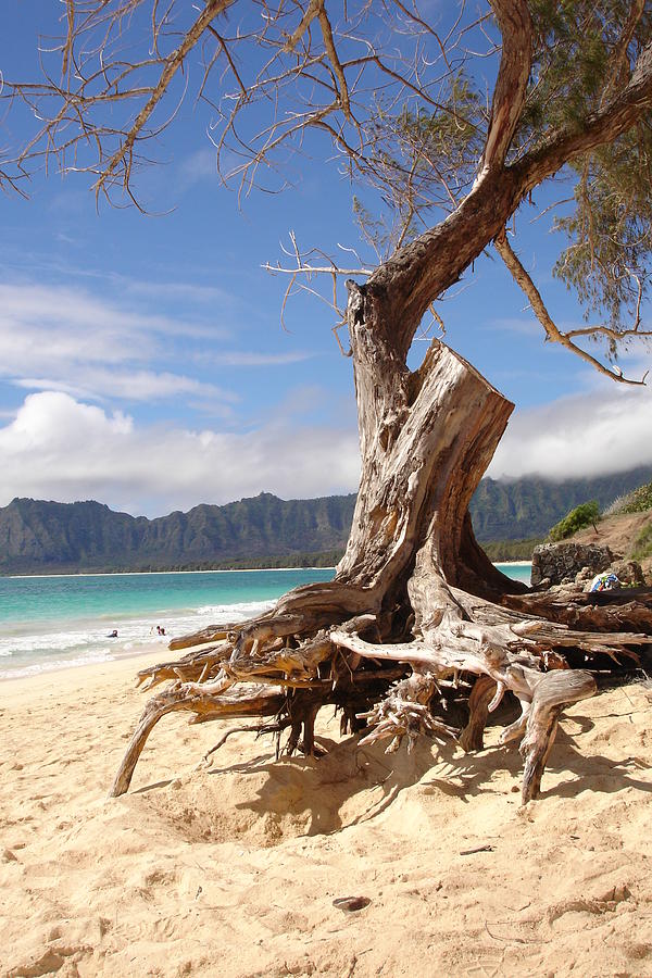 Beach Photograph - Paradise on Oahu by HP Hwang