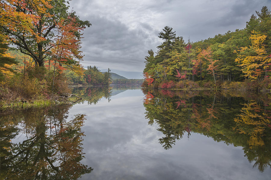 Paradise Pond Photograph by Thomas Miller