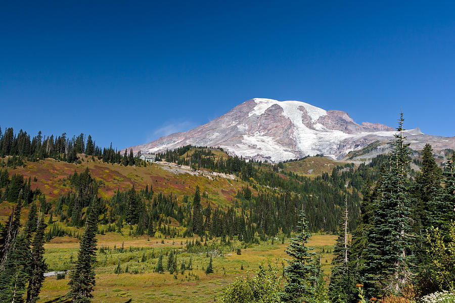 Paradise Valley and Mount Rainier Photograph by Michael Russell