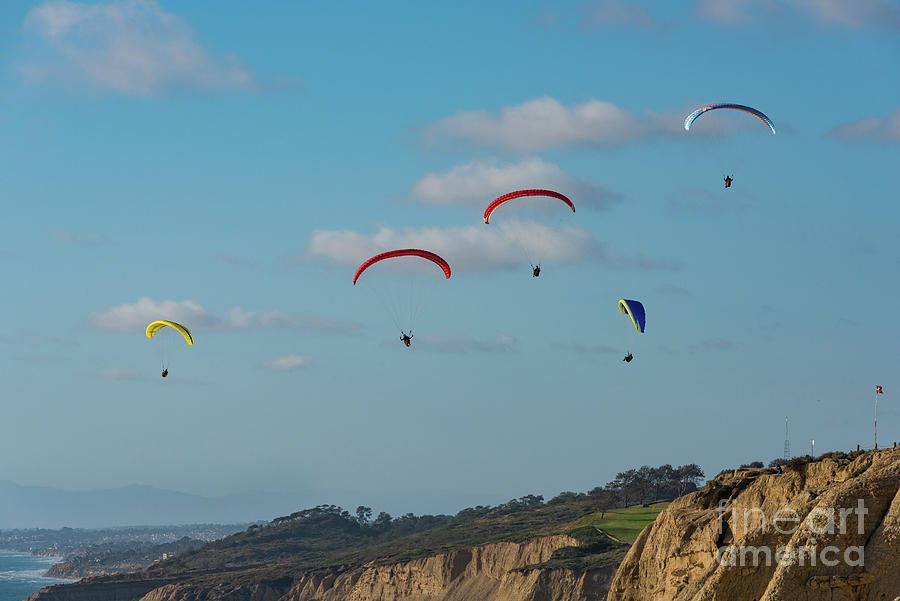 Paragliders at Torrey Pines Gliderport Photograph by David Levin