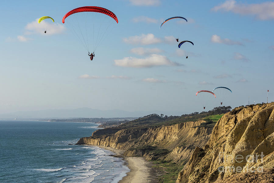 Paragliders at Torrey Pines Gliderport Over Blacks Beach Photograph by David Levin