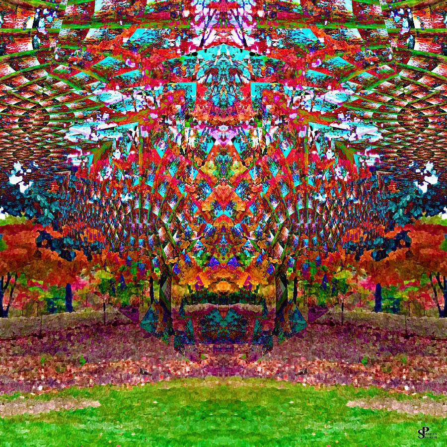Parallel Dimension of Reality Digital Art by Pamela Storch