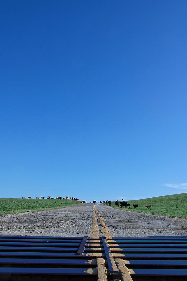 Parallel Lines - San Luis Obispo County Photograph by Darin Volpe