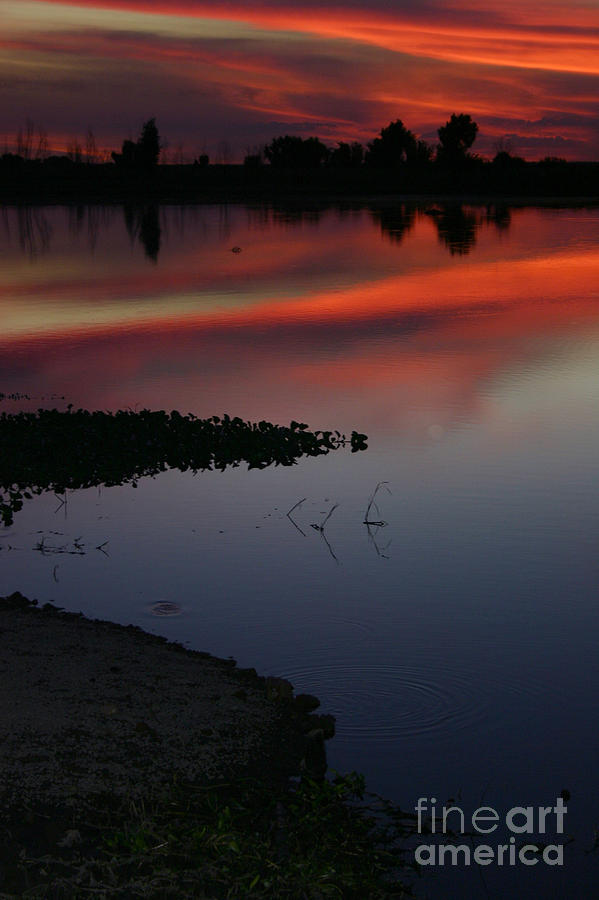 Parana Sunset Photograph by Balanced Art