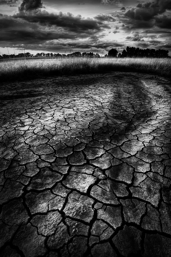 Parched Prairie Photograph by Dan Jurak