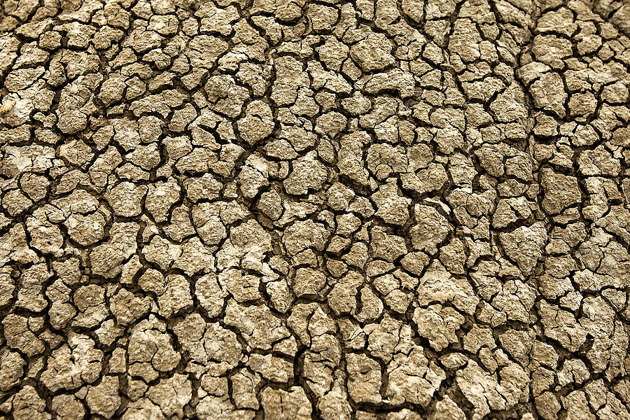 Parched Soil Photograph by Todd Klassy