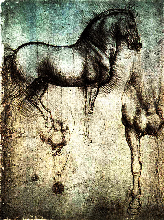 Parchment of Horses  Digital Art by Laura Boyd
