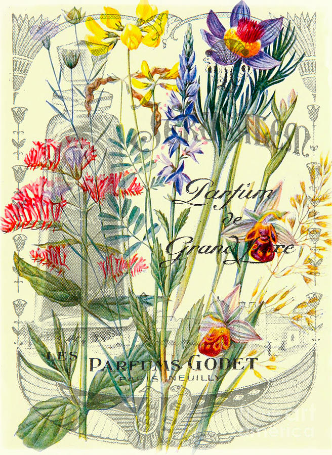 French perfume and flowers vintage collage Mixed Media by Delphimages Photo Creations