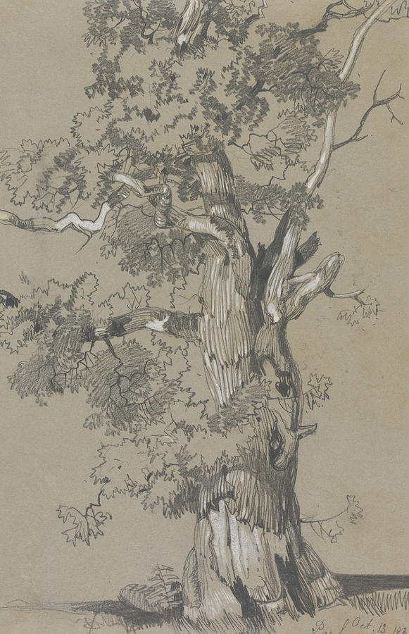 Parham, October 13, 1834 Drawing by Edward Lear
