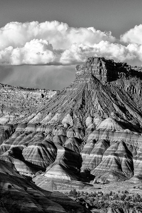 Paria Canyon Stripes #1 Photograph by Ginger Stein