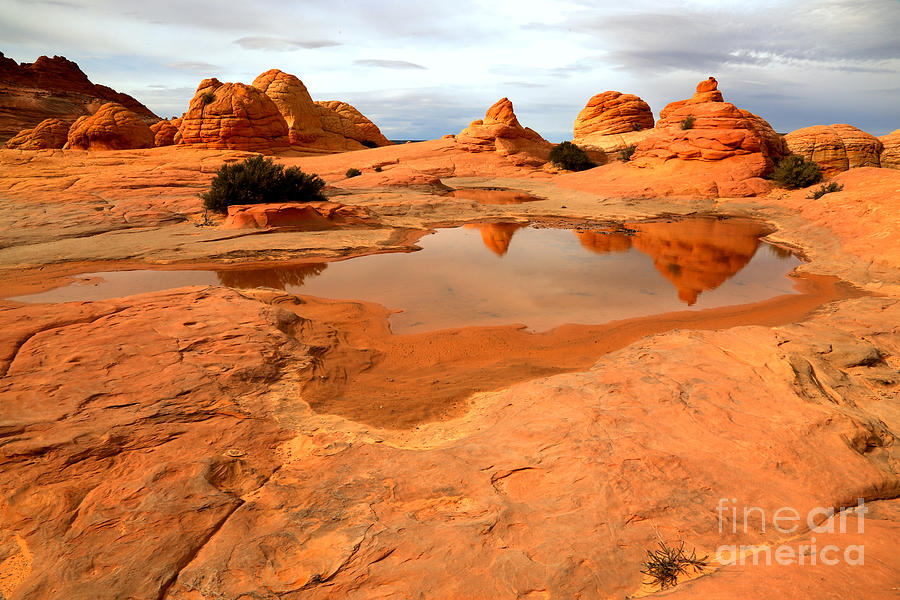 Paria Desert Reflections Photograph by Adam Jewell