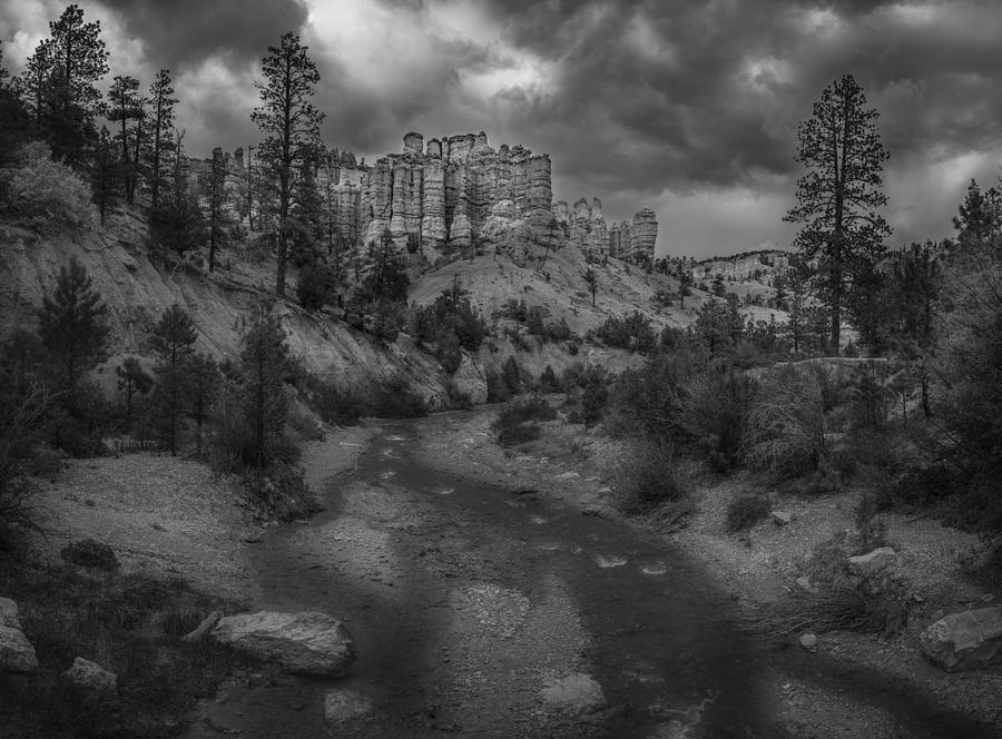 Paria River Photograph by Matthew Wert - Fine Art America