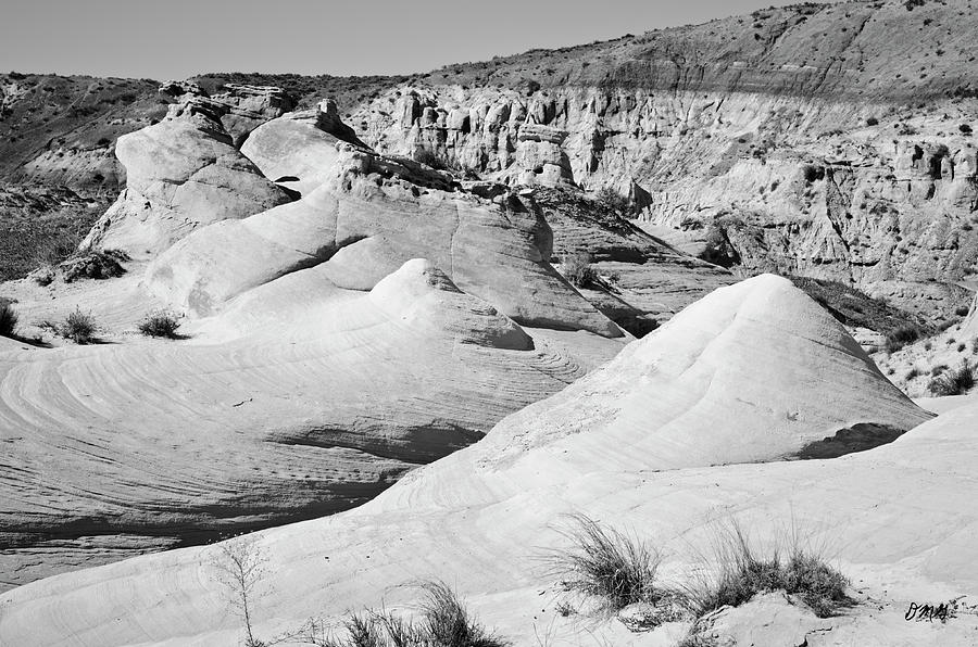 Paria Utah IV Photograph by David Gordon