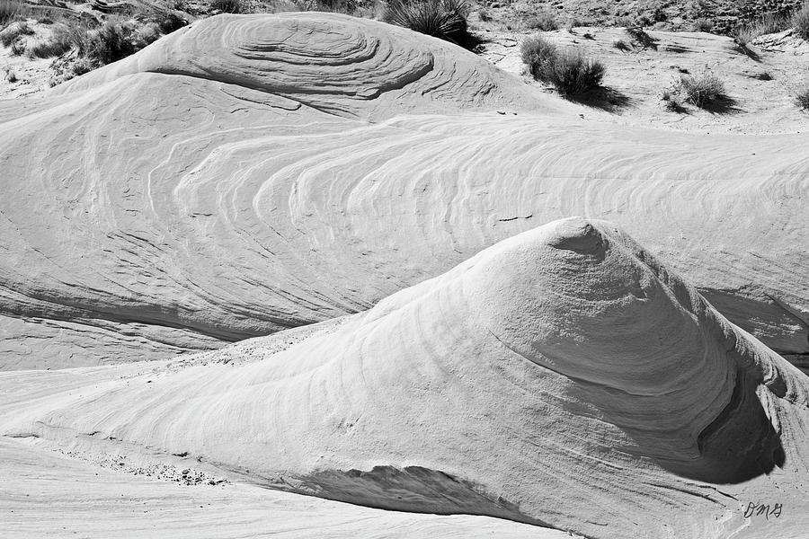 Paria Utah IX Photograph by David Gordon